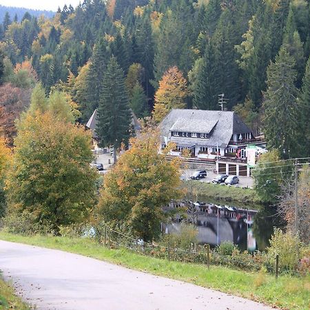 Klosterweiherhof Dachsberg im Schwarzwald Exteriér fotografie